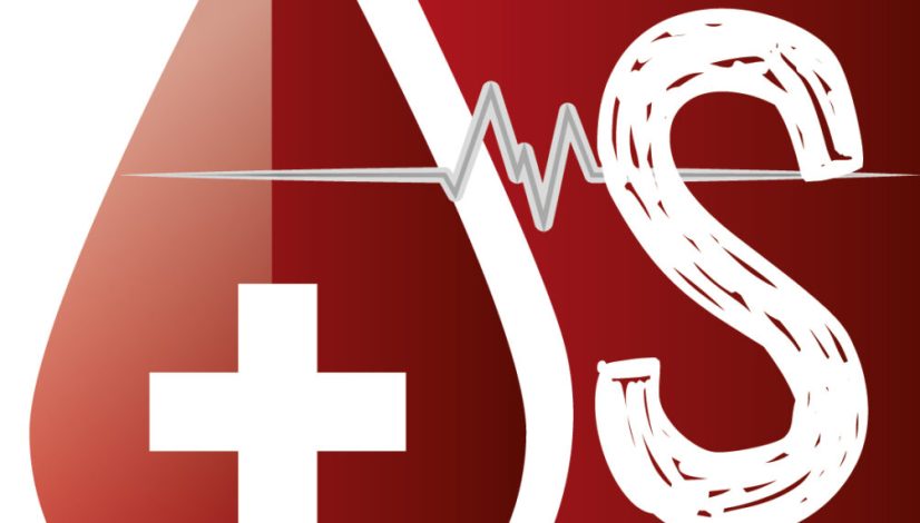 Logo Dia S-01